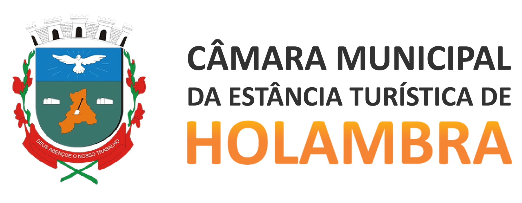 Logo camara